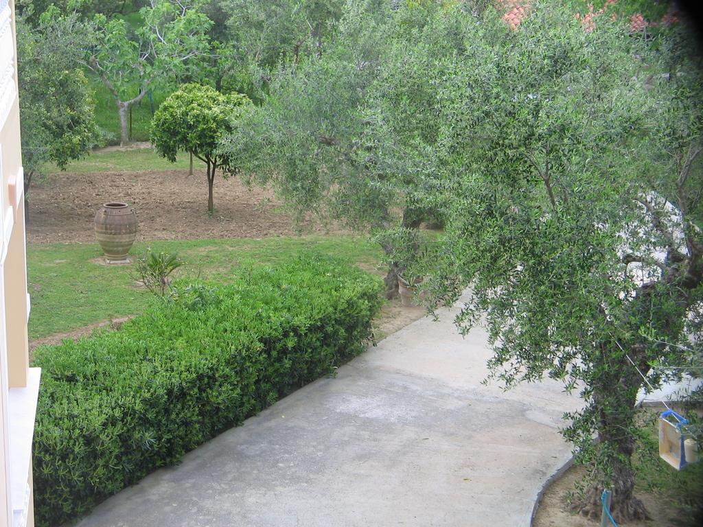 Dimaras Apartments Vasilikí Kültér fotó