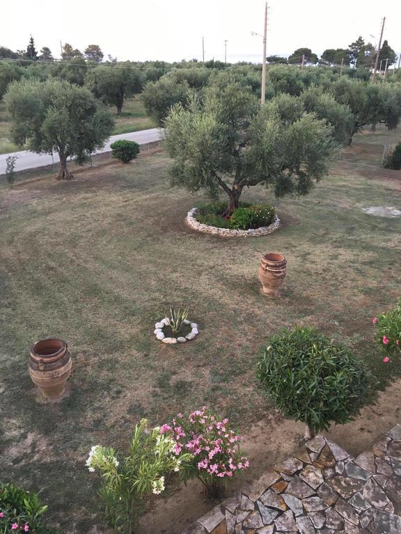 Dimaras Apartments Vasilikí Kültér fotó
