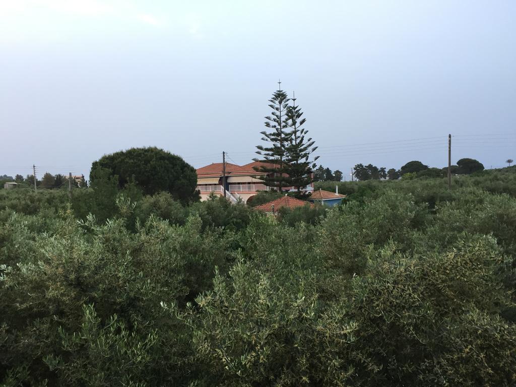 Dimaras Apartments Vasilikí Kültér fotó
