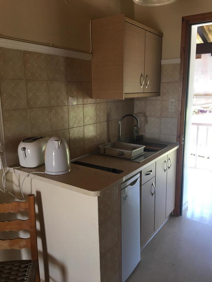 Dimaras Apartments Vasilikí Kültér fotó